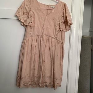 Ann Taylor Loft Little Pink Dress